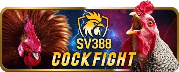 Các chương trình khuyến mãi hấp dẫn của kc6 win